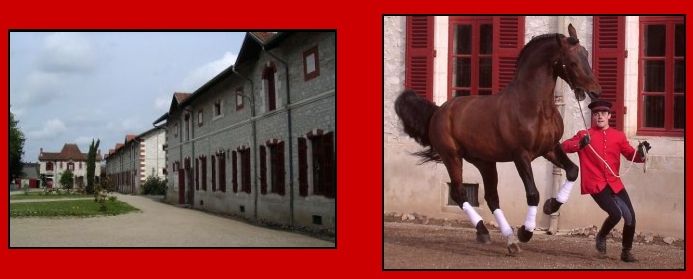 Haras nationaux